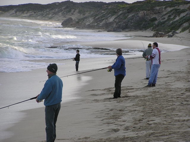 A morning fishing A morning fishing